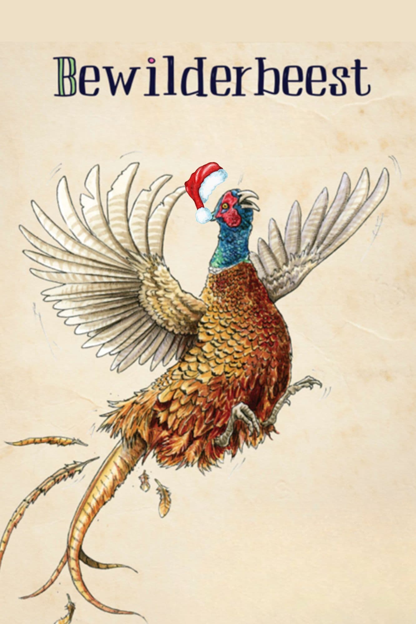 Noël - Bewilderbeest 2026